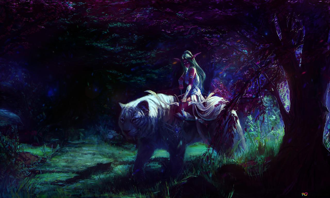 Image for Tyrande Whisperwind: High Priestess of Elune